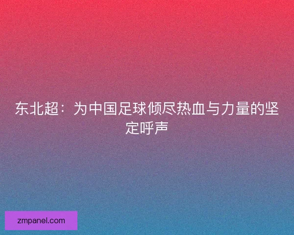 东北超：为中国足球倾尽热血与力量的坚定呼声